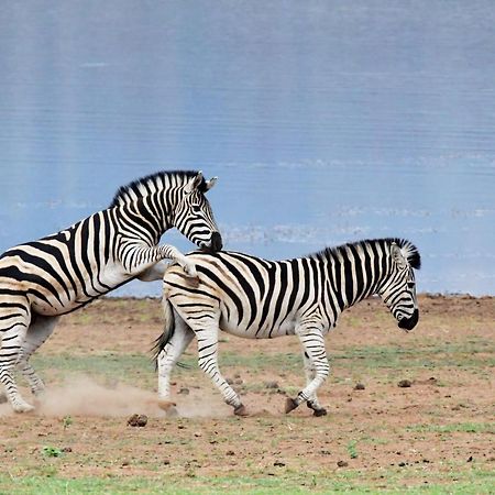 Tented Adventures Pilanesberg Kültér fotó