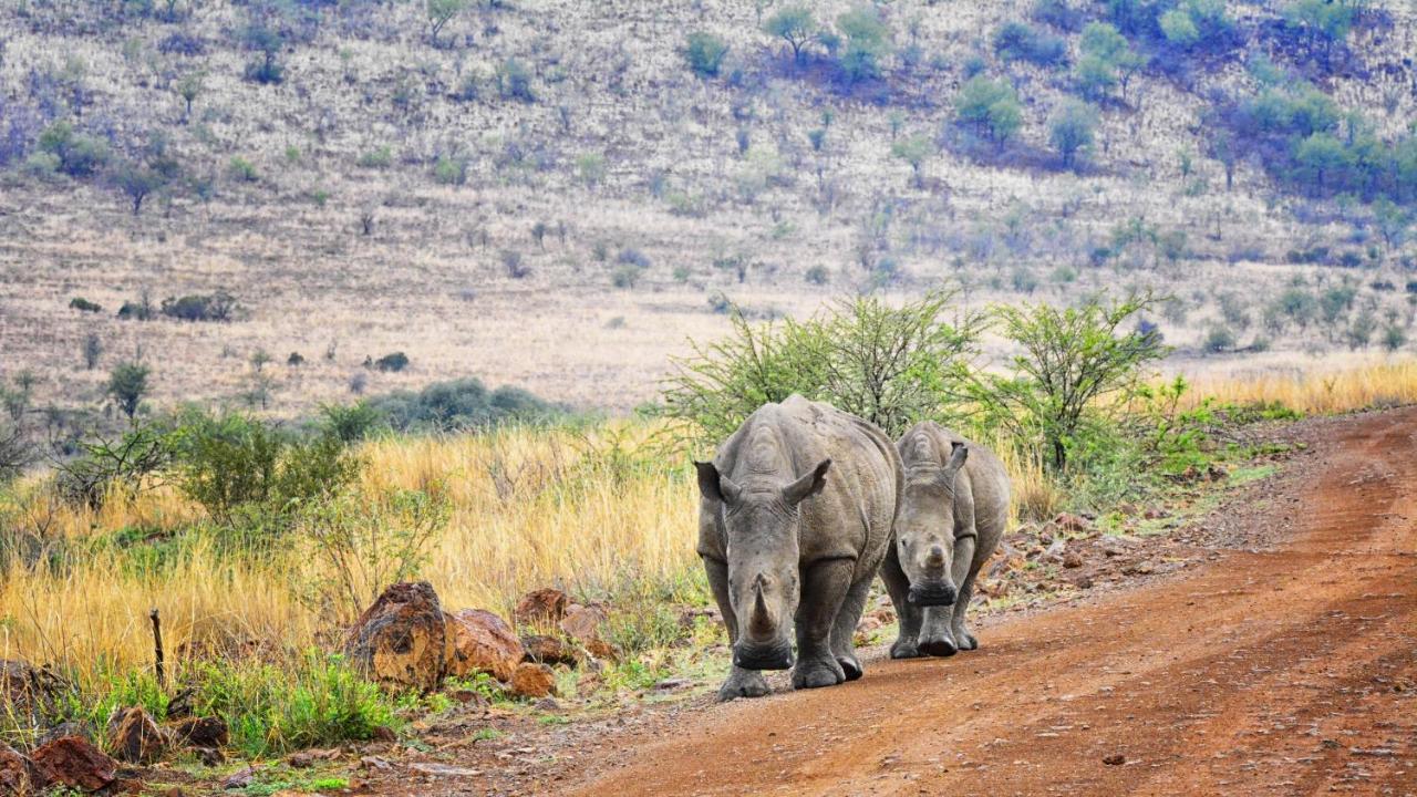 Tented Adventures Pilanesberg Kültér fotó