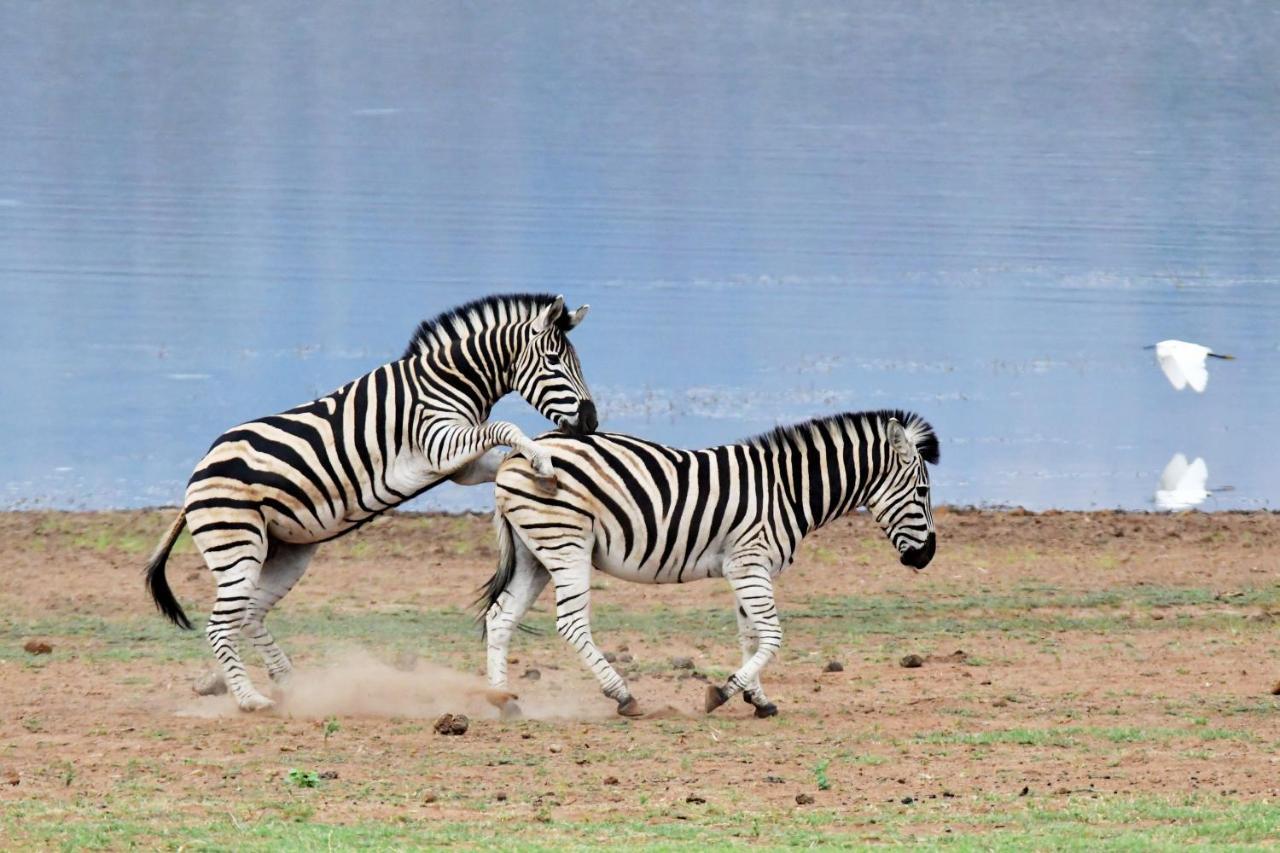 Tented Adventures Pilanesberg Kültér fotó